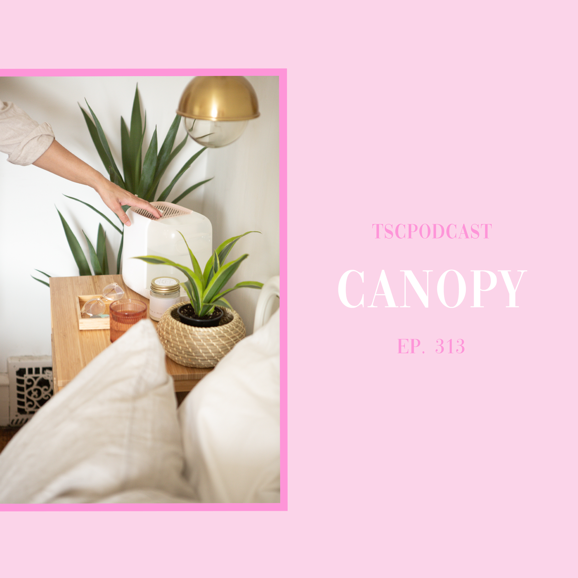 Canopy X Tscpodcast Blog 